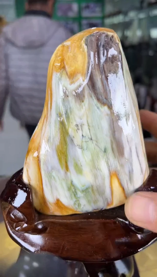 未镶嵌珠宝奇石硅化玉缅甸天然树化玉摆件