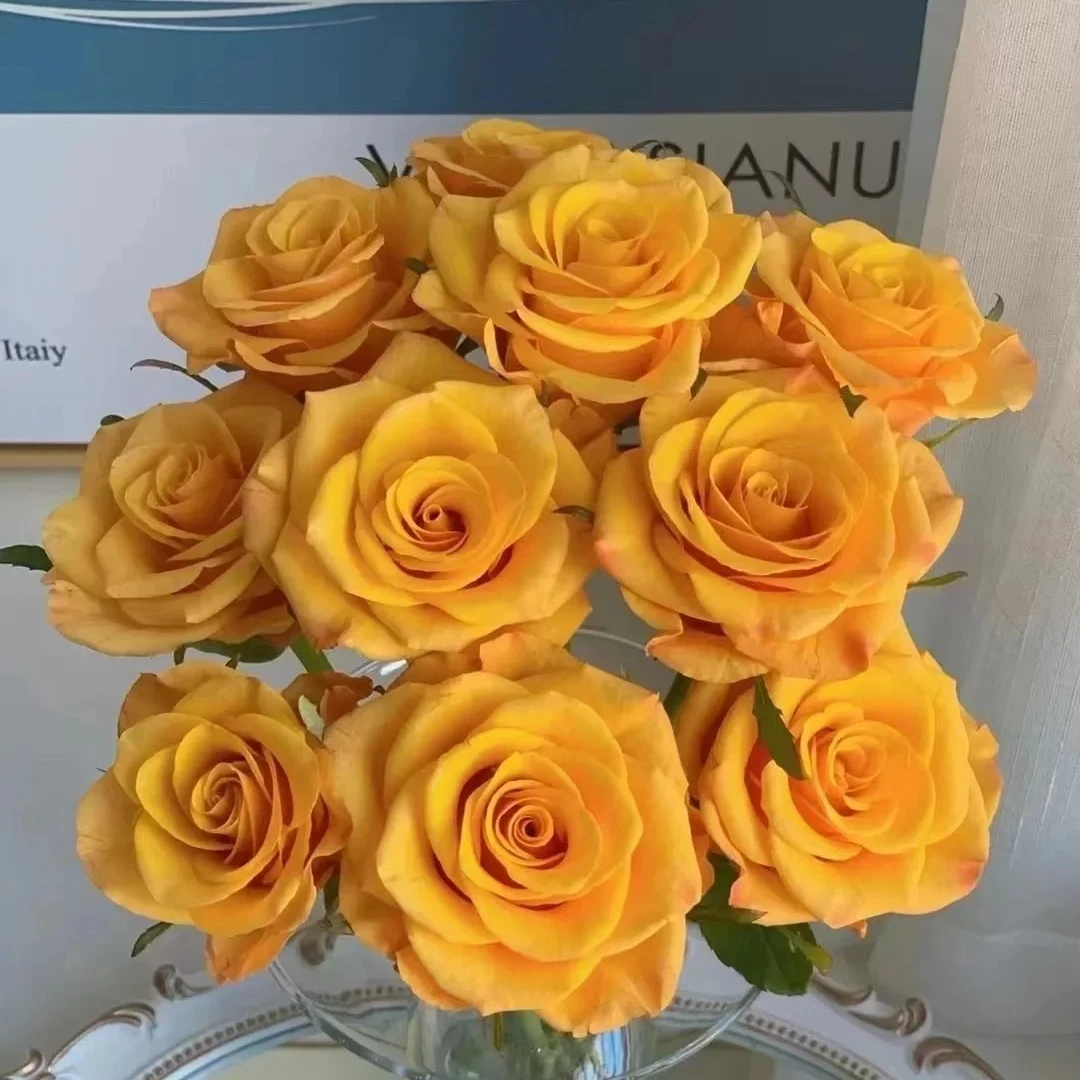 辉皇，单头玫瑰，1单冷链包邮，2单升级顺丰冷链，远的发德邦