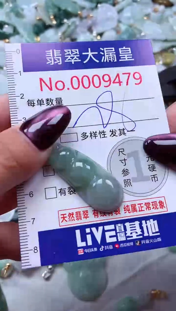 颈饰未镶嵌翡翠9479