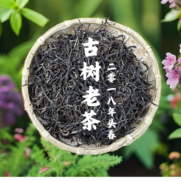 【支书严选】2018年邦旭古树 头春老生茶  散茶
