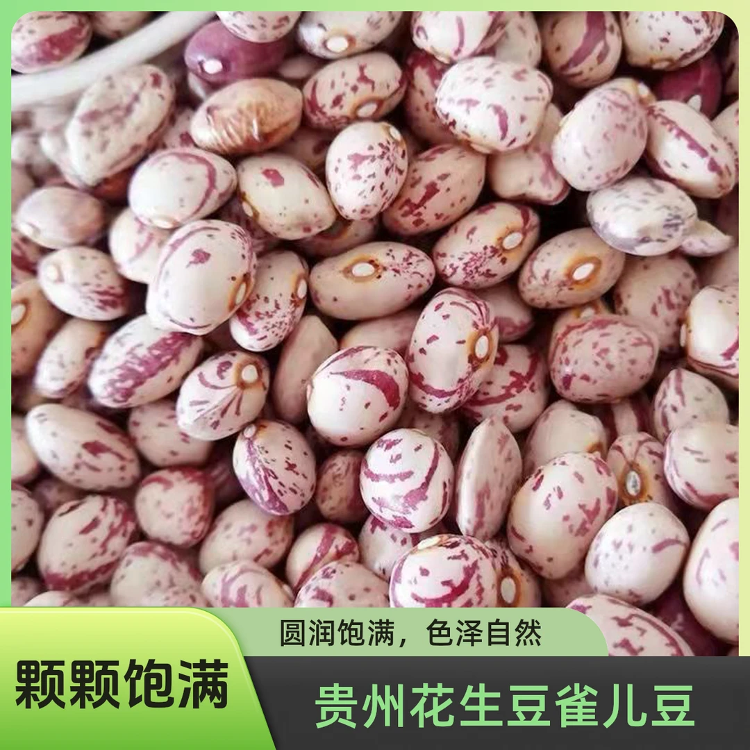 贵州农家露天种植花生豆雀蛋豆颗颗饱满粒粒分明