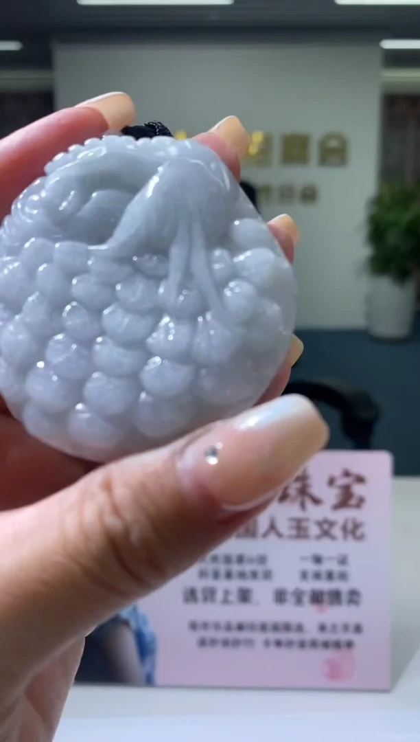 颈饰未镶嵌翡翠B-@@BSGY122901多样性发一