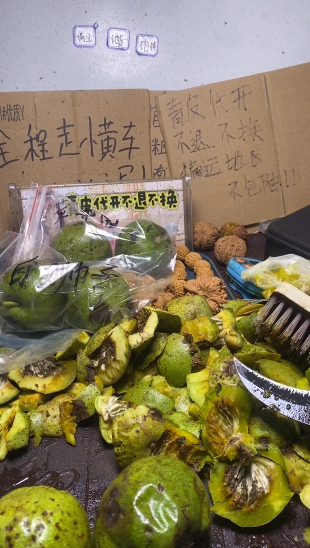 白狮子不退不换lyx52