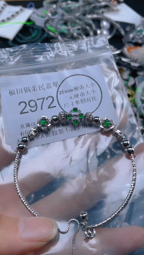 颈饰未镶嵌翡翠.........