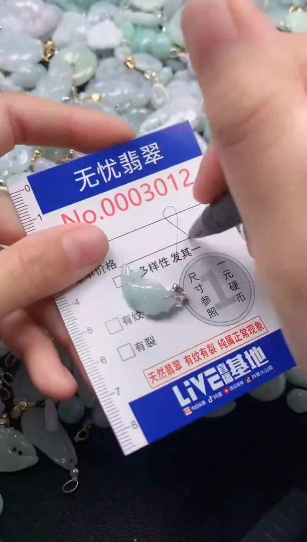 颈饰未镶嵌翡翠3012