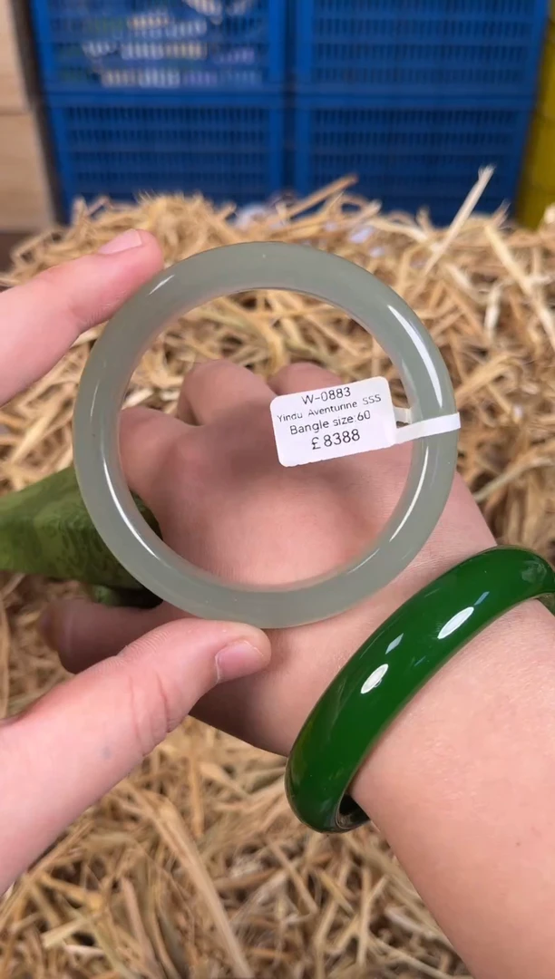 未镶嵌手镯石英质玉W0883