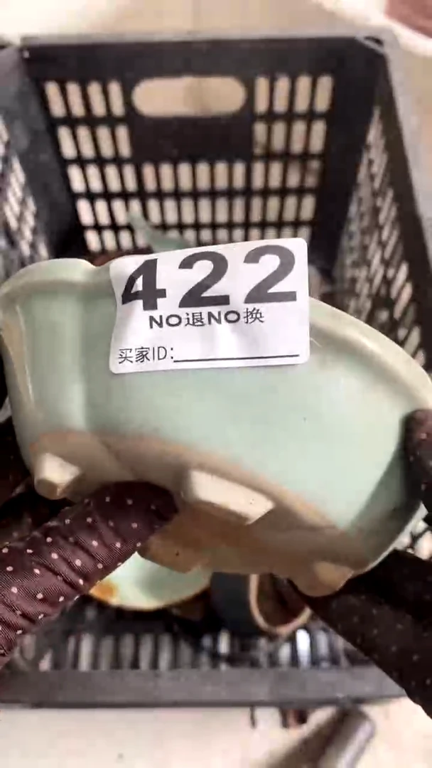 陶瓷爱*钱多发点撒