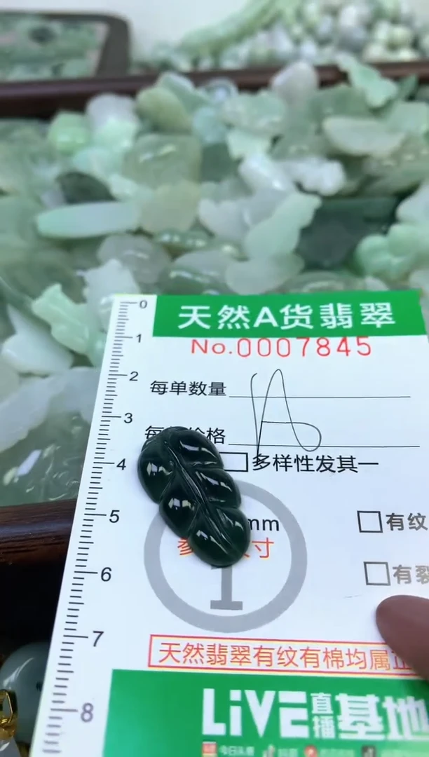 颈饰未镶嵌翡翠纯天然缅甸A货翡翠
