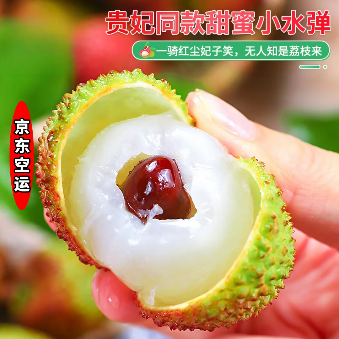 【外省拍】合江荔枝妃子笑新鲜采摘应季水果肉厚核小京东空运包邮