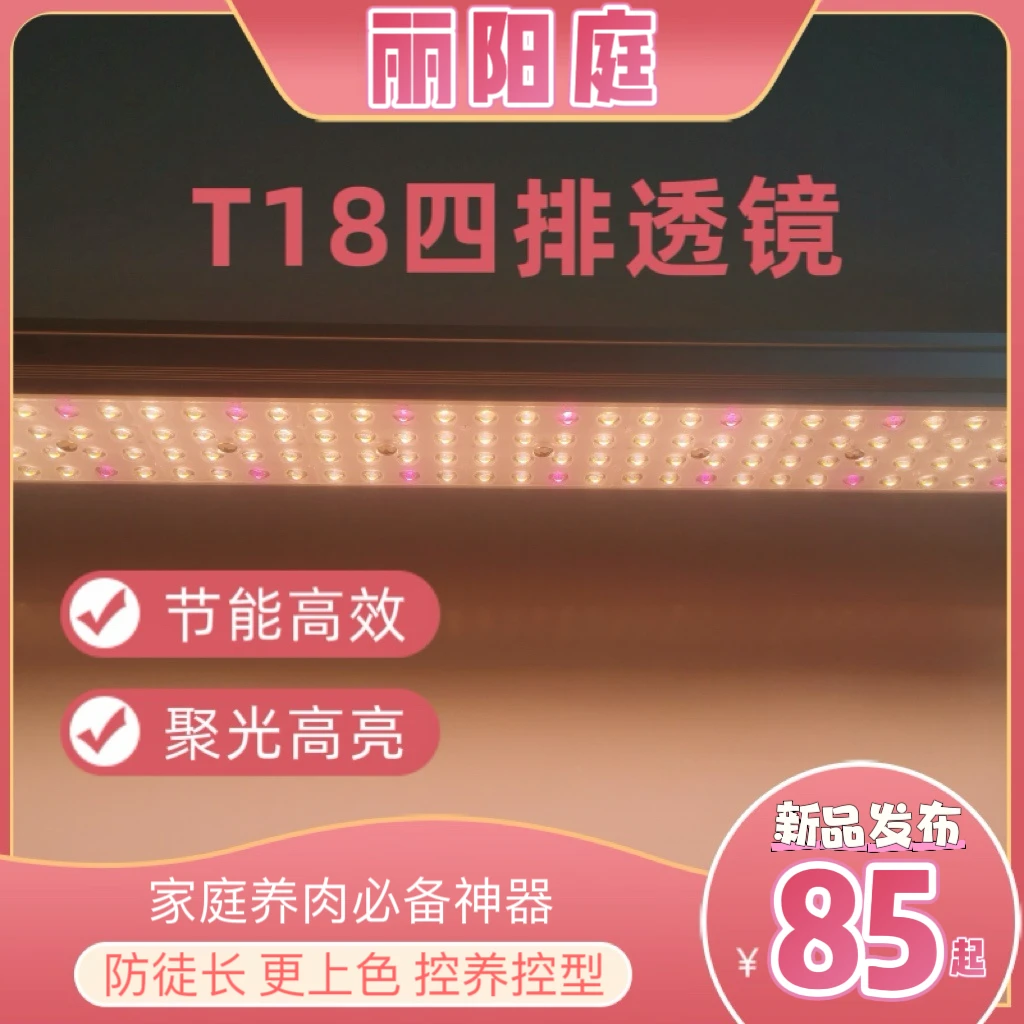 丽阳庭T18/T36全光谱聚光透镜LED多肉防徒上色室内节能家用补光灯