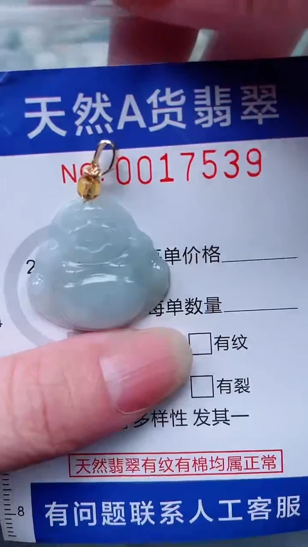 翡翠未镶嵌吊坠(不含链)1