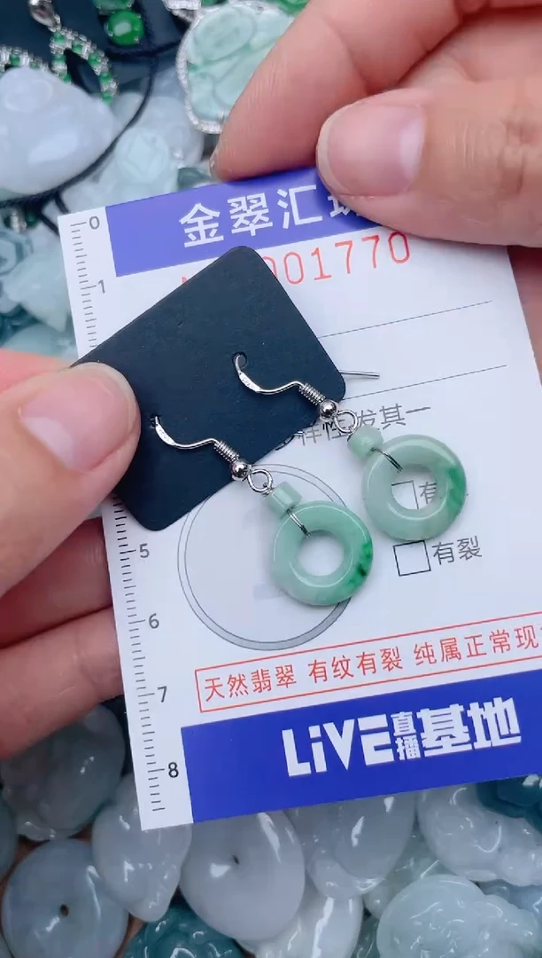 翡翠未镶嵌颈饰1770