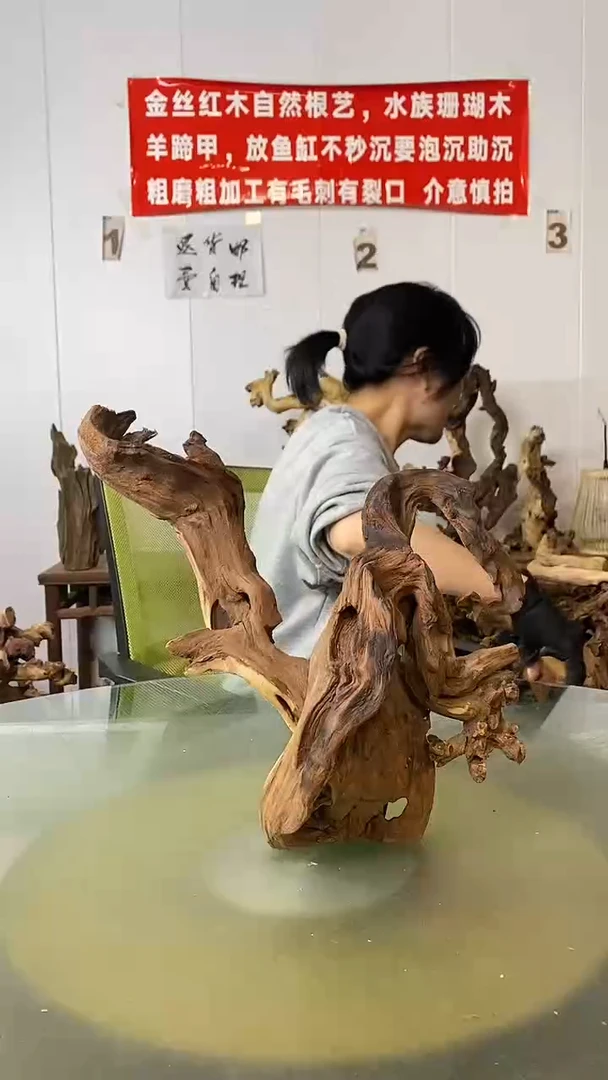 香榧木郑****?金丝红木 羊蹄甲