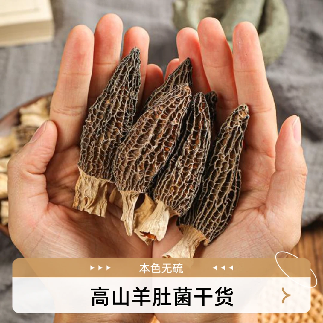 头茬高山羊肚菌干货严选新鲜无硫干货煲汤食用菌肉质饱满