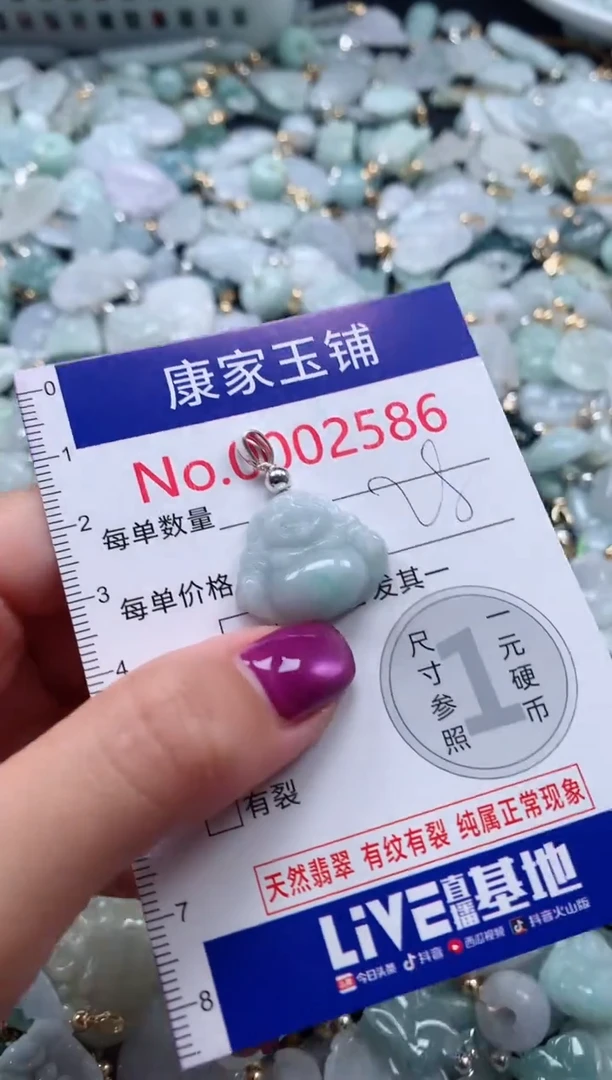 颈饰未镶嵌翡翠2586
