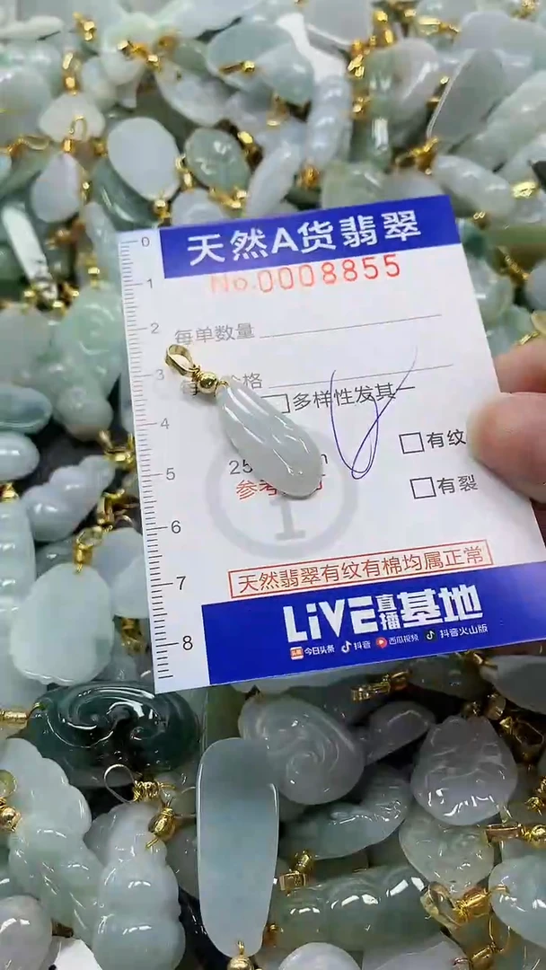 颈饰未镶嵌翡翠纯天然a货翡翠