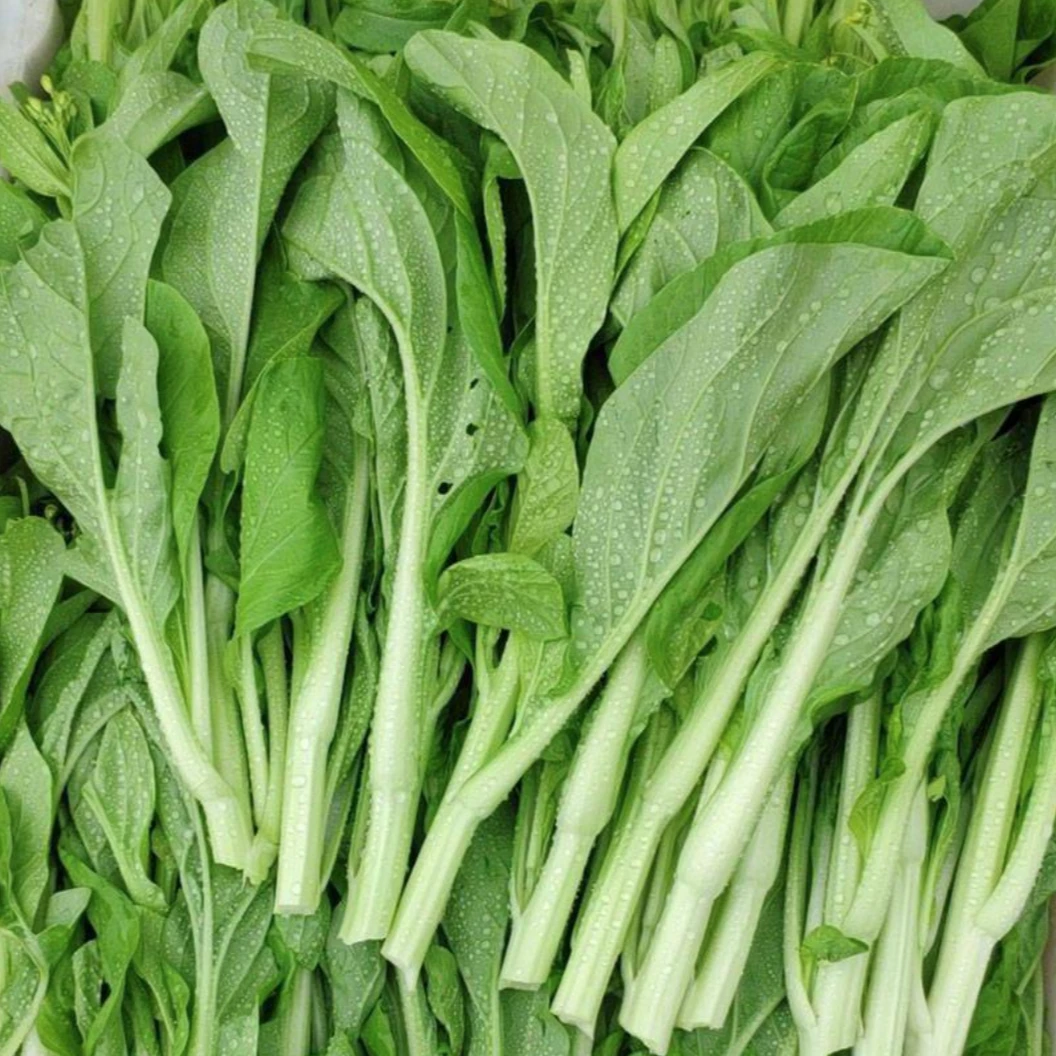 【全店满5元包邮】白菜苔种子