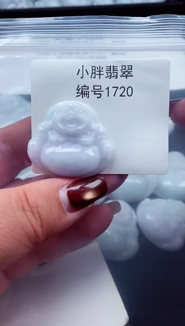 颈饰未镶嵌翡翠缅甸天然A货翡翠1720