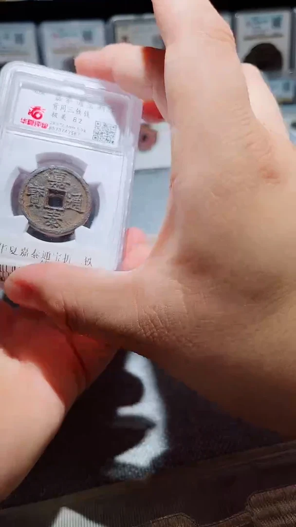 铁A497风华夏嘉泰通宝折二铁钱