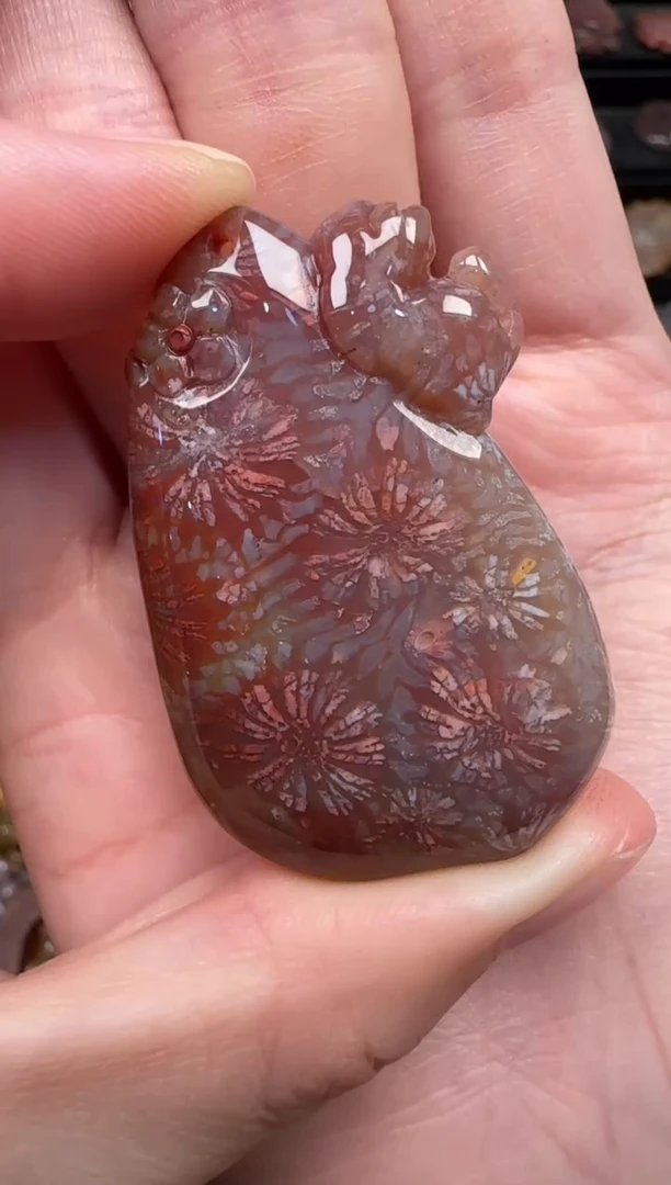 颈饰未镶嵌硅化珊瑚（珊瑚玉）368