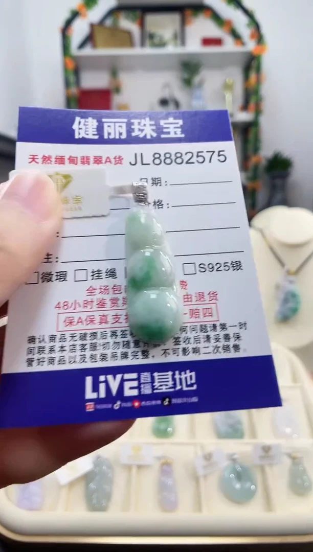 颈饰18K金镶嵌翡翠天然缅甸翡翠 富贵豆(一物一证)+银链