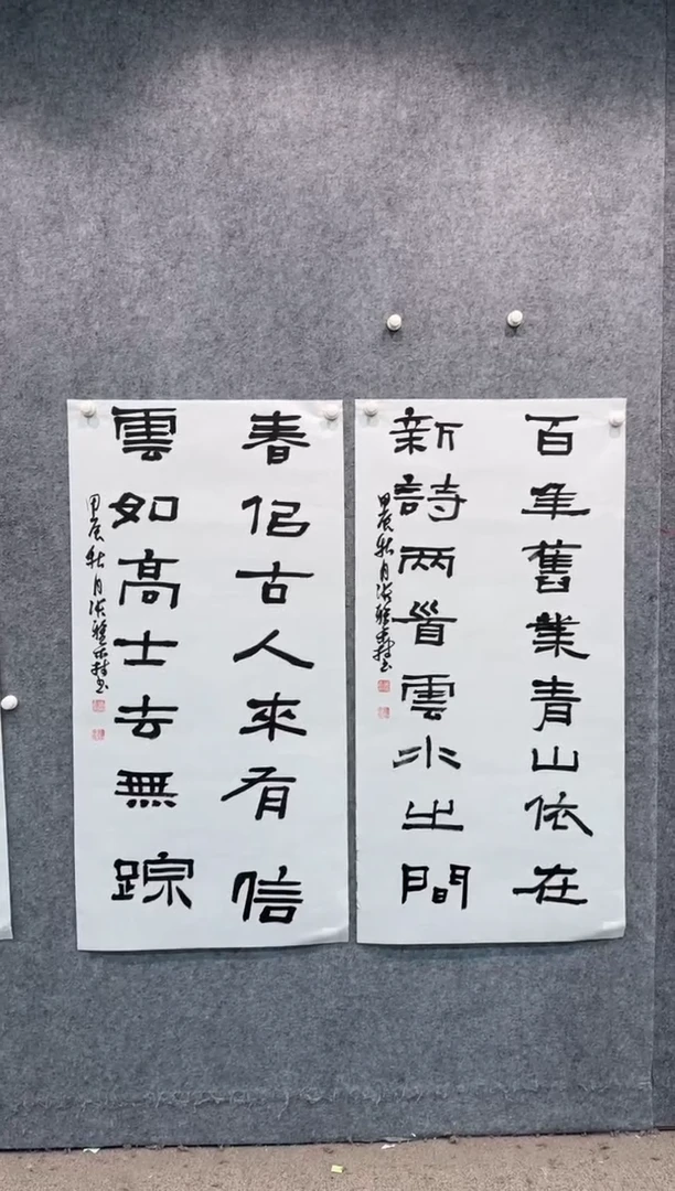 【闪购商品】书法pmw不二轩旗舰店书法ZYS13