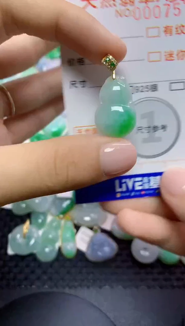 翡翠未镶嵌颈饰645656464