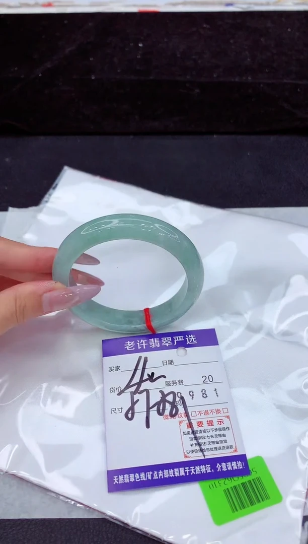 未镶嵌手镯翡翠1