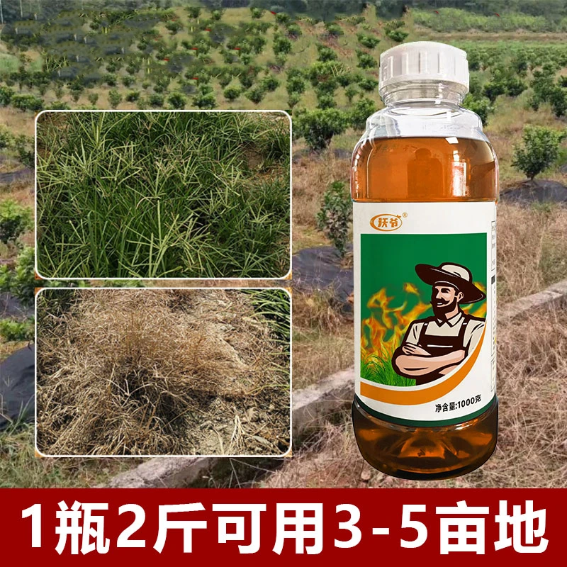 沃爷小飞蓬果园园林田埂荒地农用有机质剂