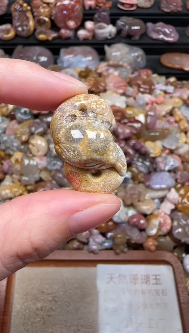 颈饰未镶嵌硅化珊瑚（珊瑚玉）748