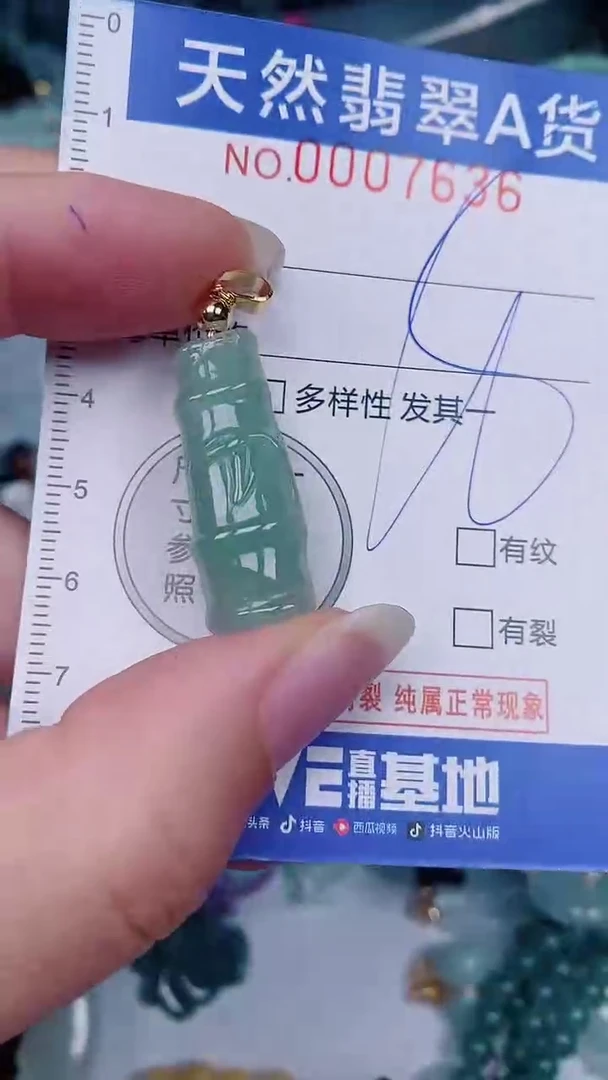 翡翠未镶嵌颈饰00007636