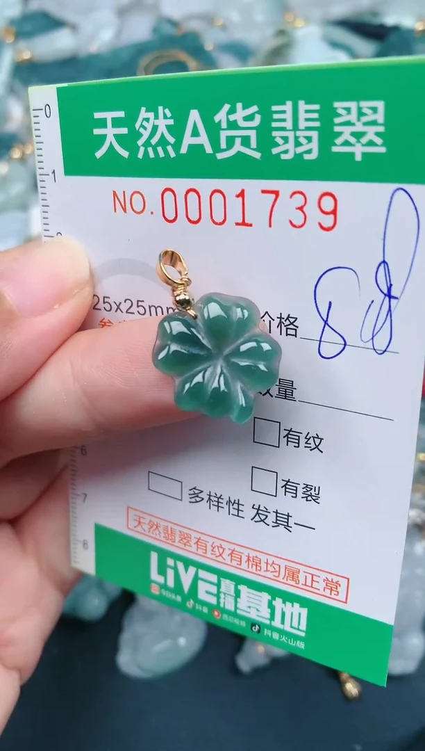 颈饰未镶嵌翡翠.0001739