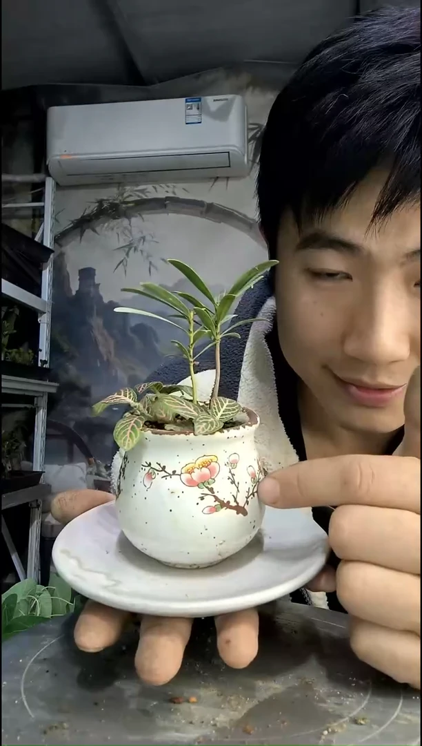 大*鱼中青园艺一物一拍292