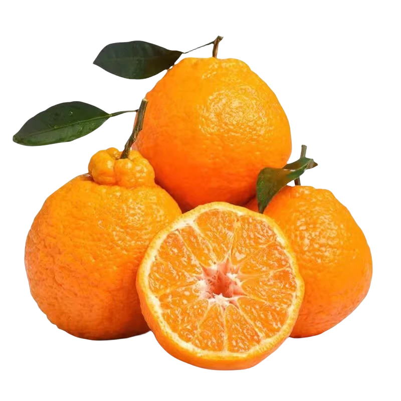 丑橘(丑八怪)  约2-2.5斤/份四川省