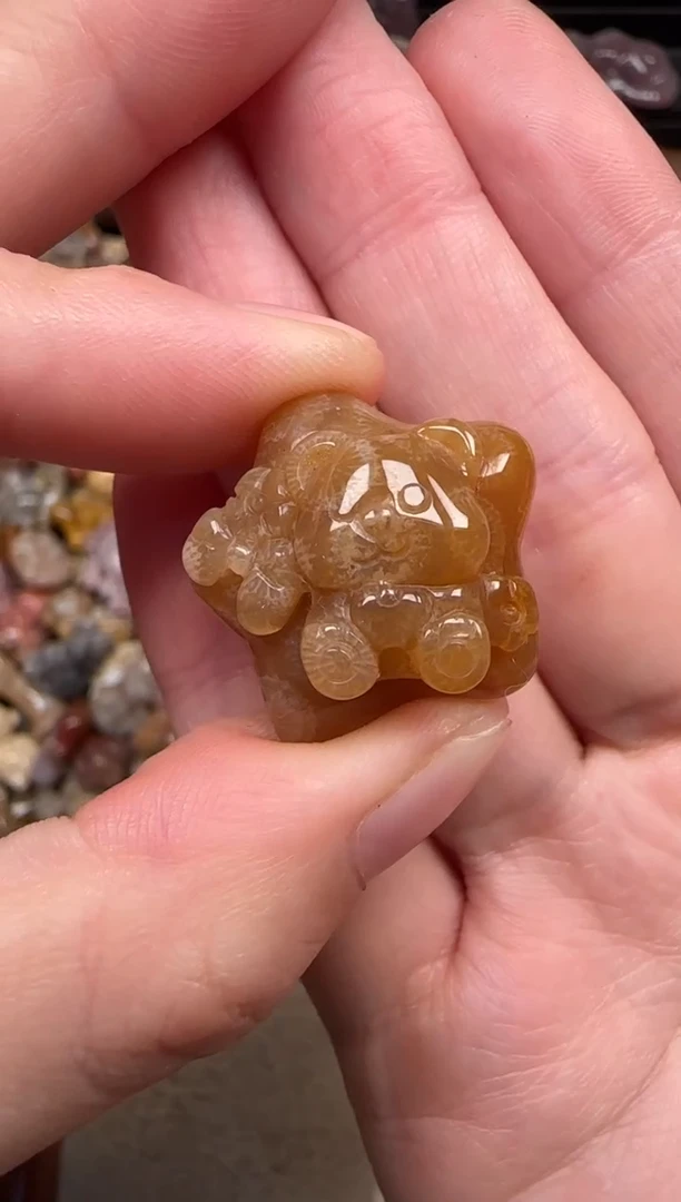 颈饰未镶嵌硅化珊瑚（珊瑚玉）749