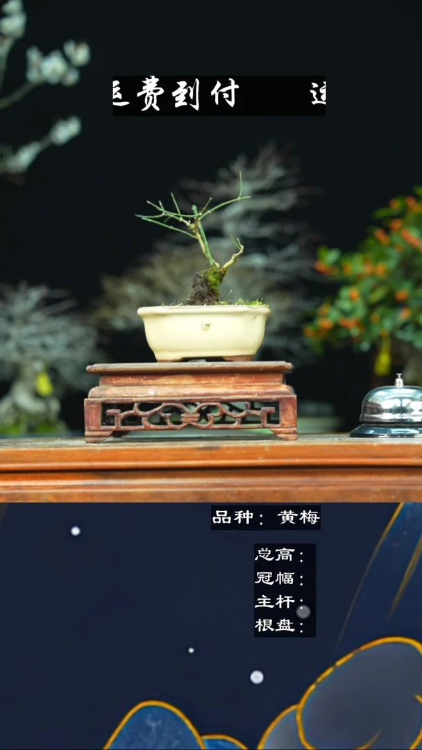 【闪购商品】无铅玻璃   40