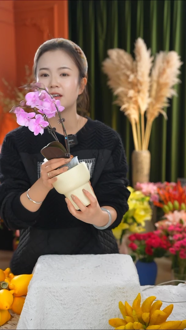 陶瓷花盆 福利款