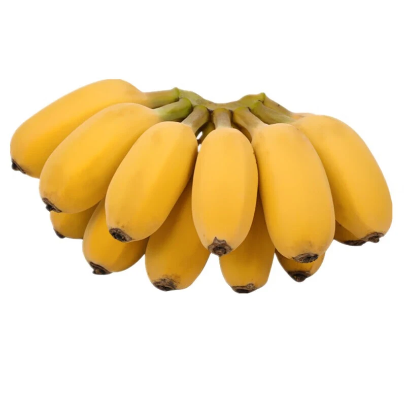 皇帝蕉约500g±30g(图片仅供参考)