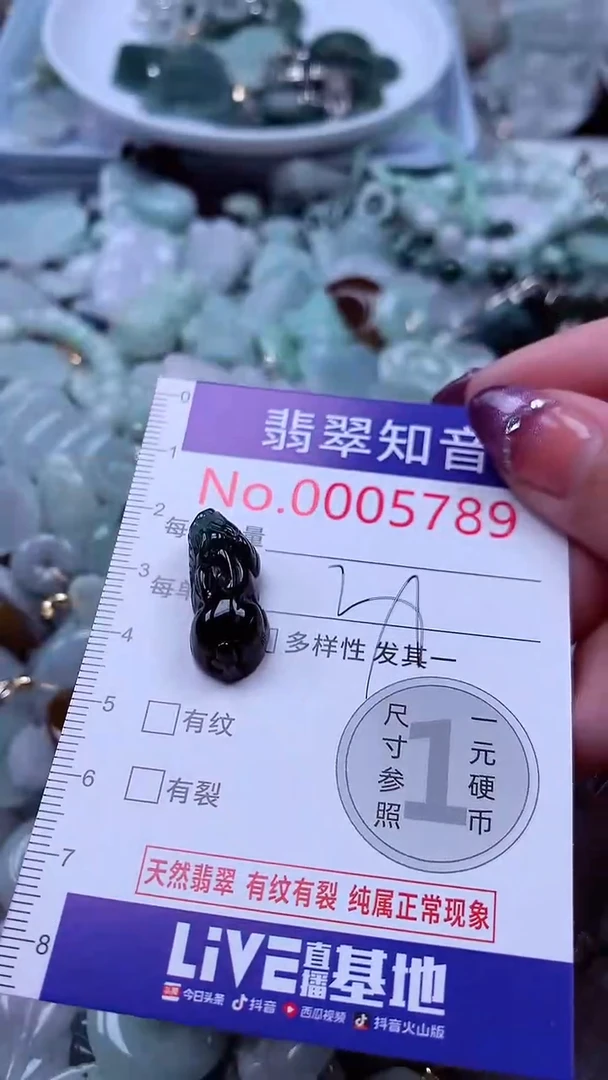 翡翠未镶嵌吊坠(不含链)5789