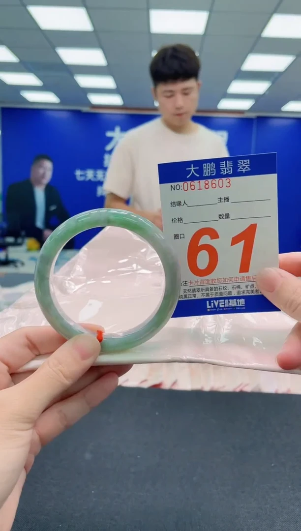 未镶嵌手镯翡翠AAAAAAAAA