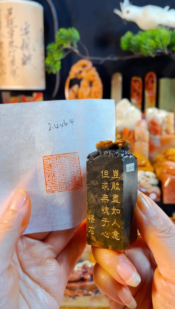 巴林石印石手工篆刻《岂能尽如人意.....》