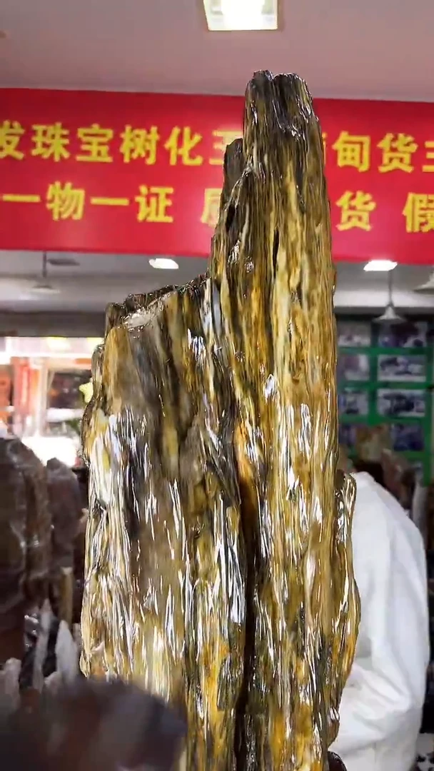 未镶嵌珠宝奇石硅化玉缅甸天然树化玉摆件