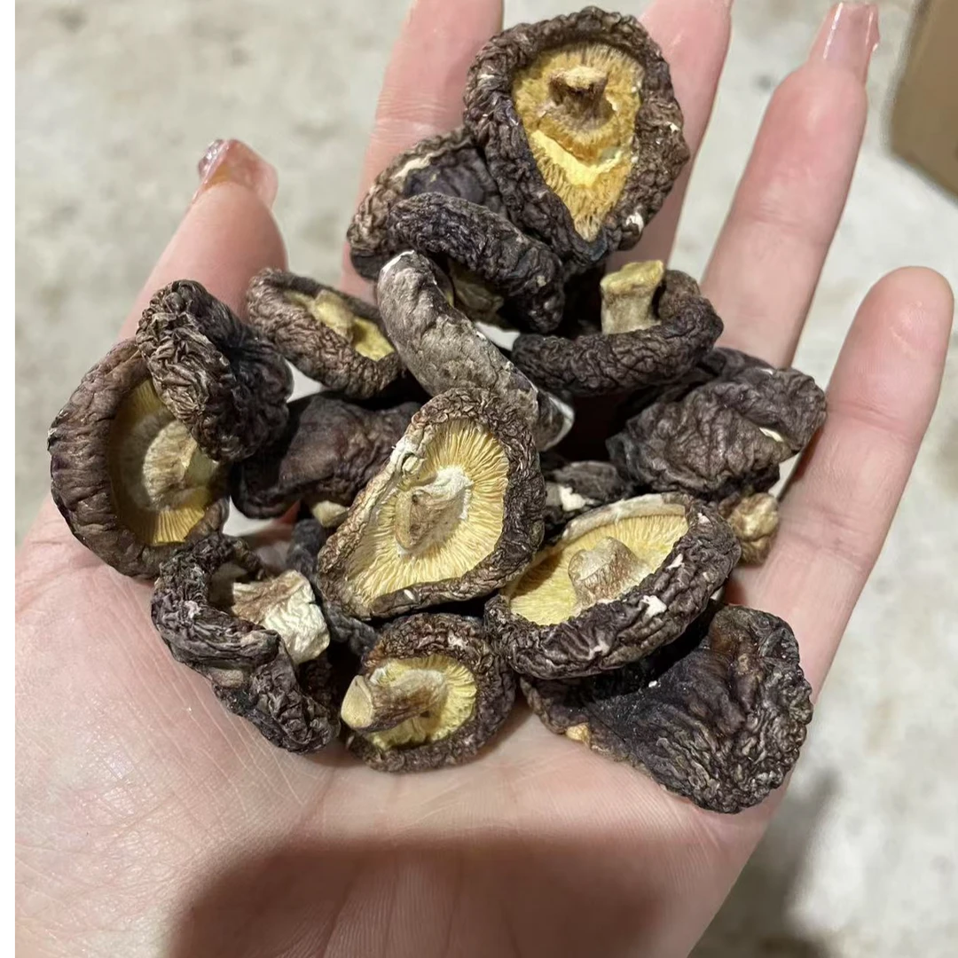 【现收】农家特产干货食用农产品—香—1—菇