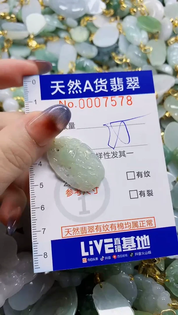 颈饰未镶嵌翡翠天然A货翡翠