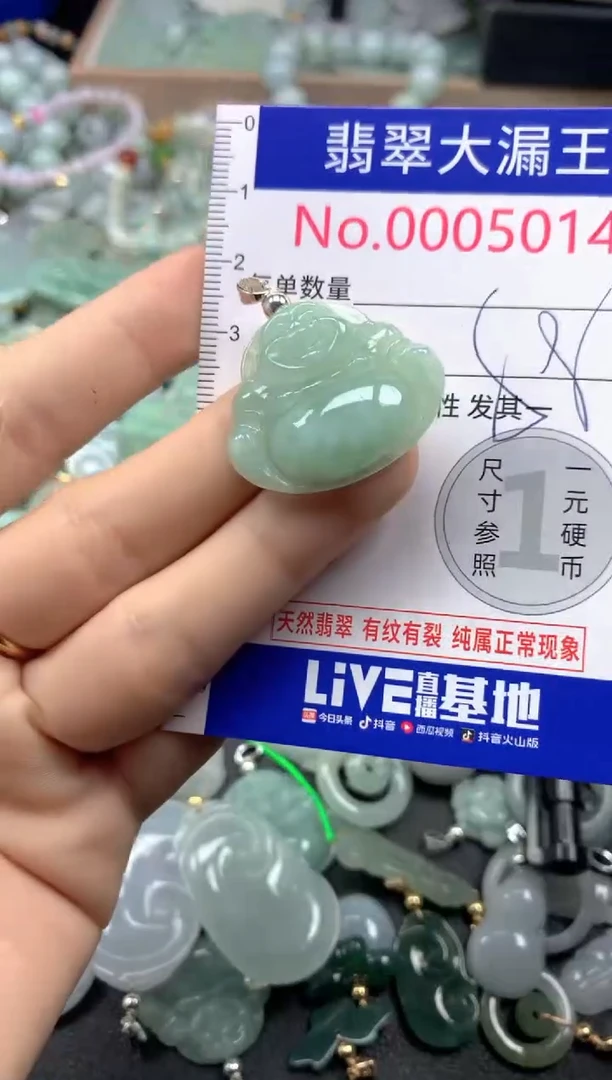 翡翠未镶嵌吊坠(不含链)5014