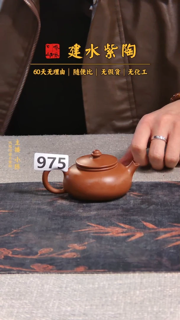 壶建水紫陶单壶放漏/B975
