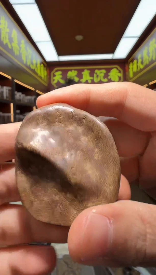 沉香吊坠104号芽庄多样性发一