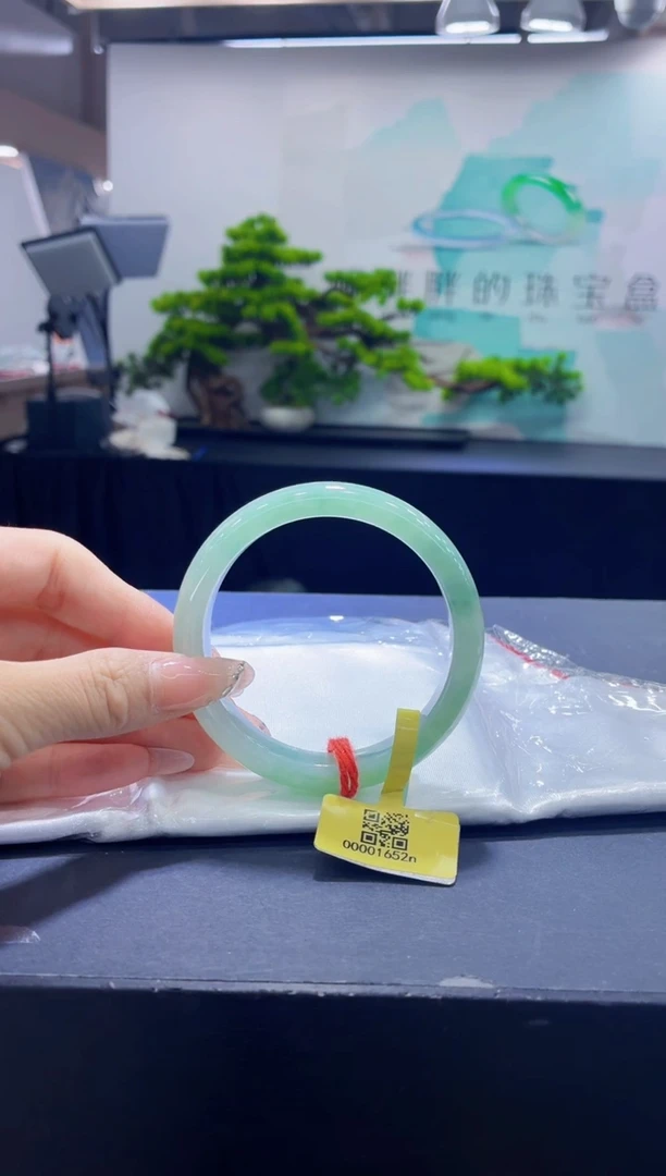 未镶嵌手镯翡翠5