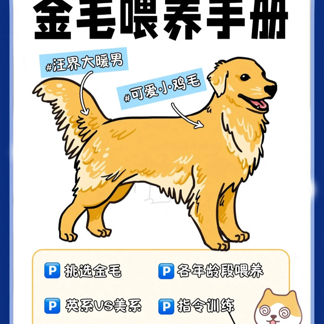 阿笑教你如何挑选狗狗