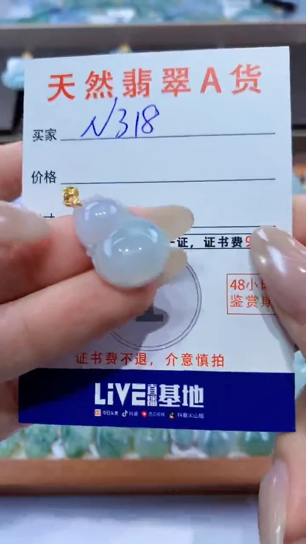 颈饰未镶嵌翡翠天然翡翠A货挂件